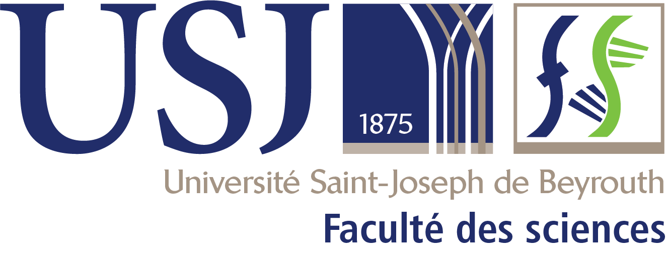 FS Logo