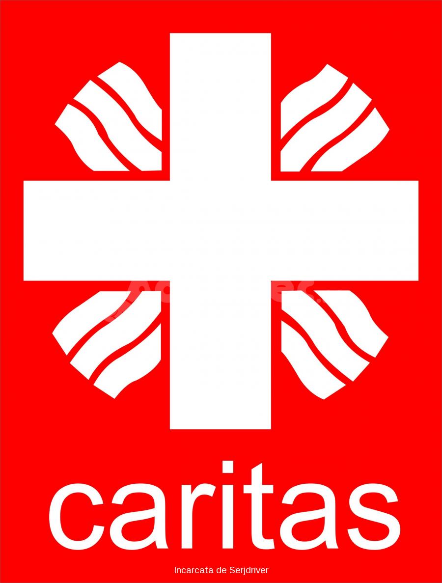 Partner Image