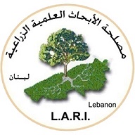 Partner Image