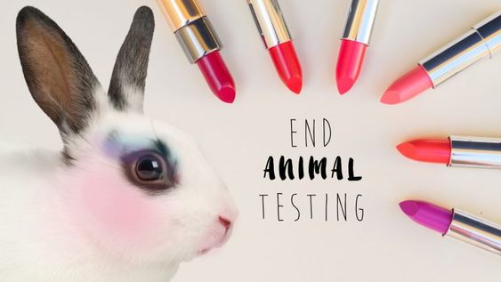 Animal Testing: The Blood Behind the Beauty Animal Testing: The Blood Behind the Beauty