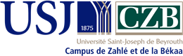 Footer Logo