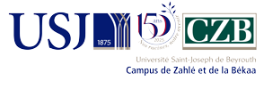 Footer Logo