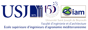 Footer Logo