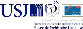 Footer Logo
