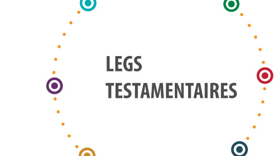 legs